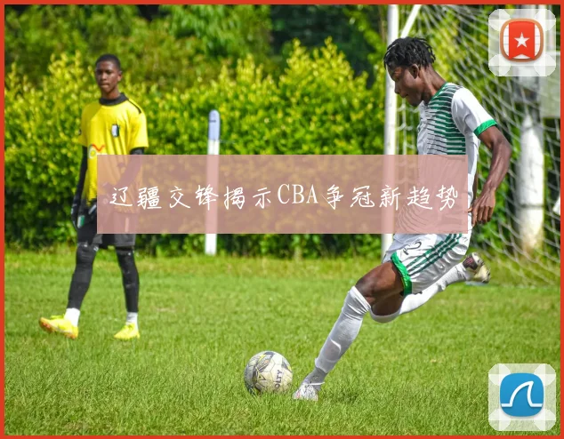 辽疆交锋揭示CBA争冠新趋势