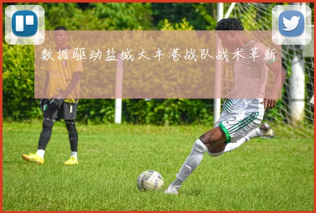 数据驱动盐城大丰港战队战术革新