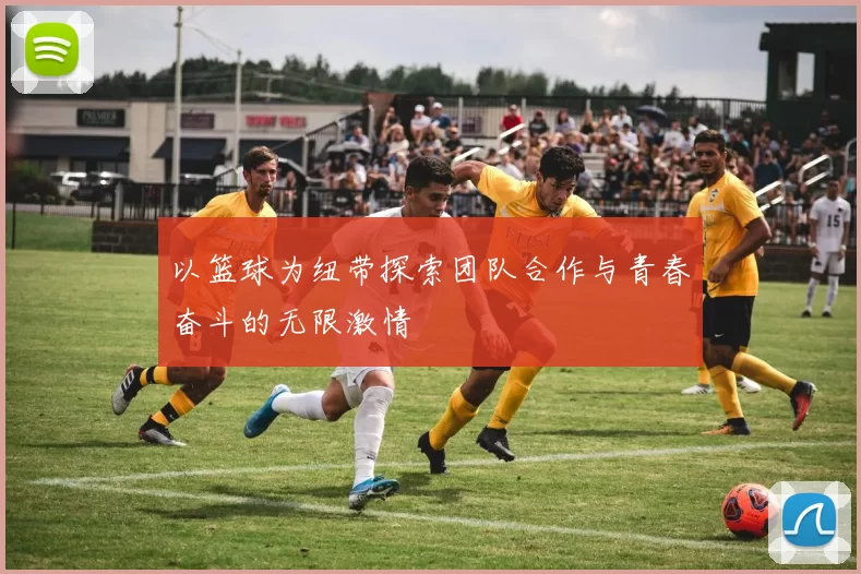 以篮球为纽带探索团队合作与青春奋斗的无限激情